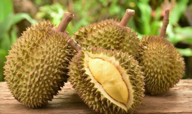 Taste Pupuan Durian