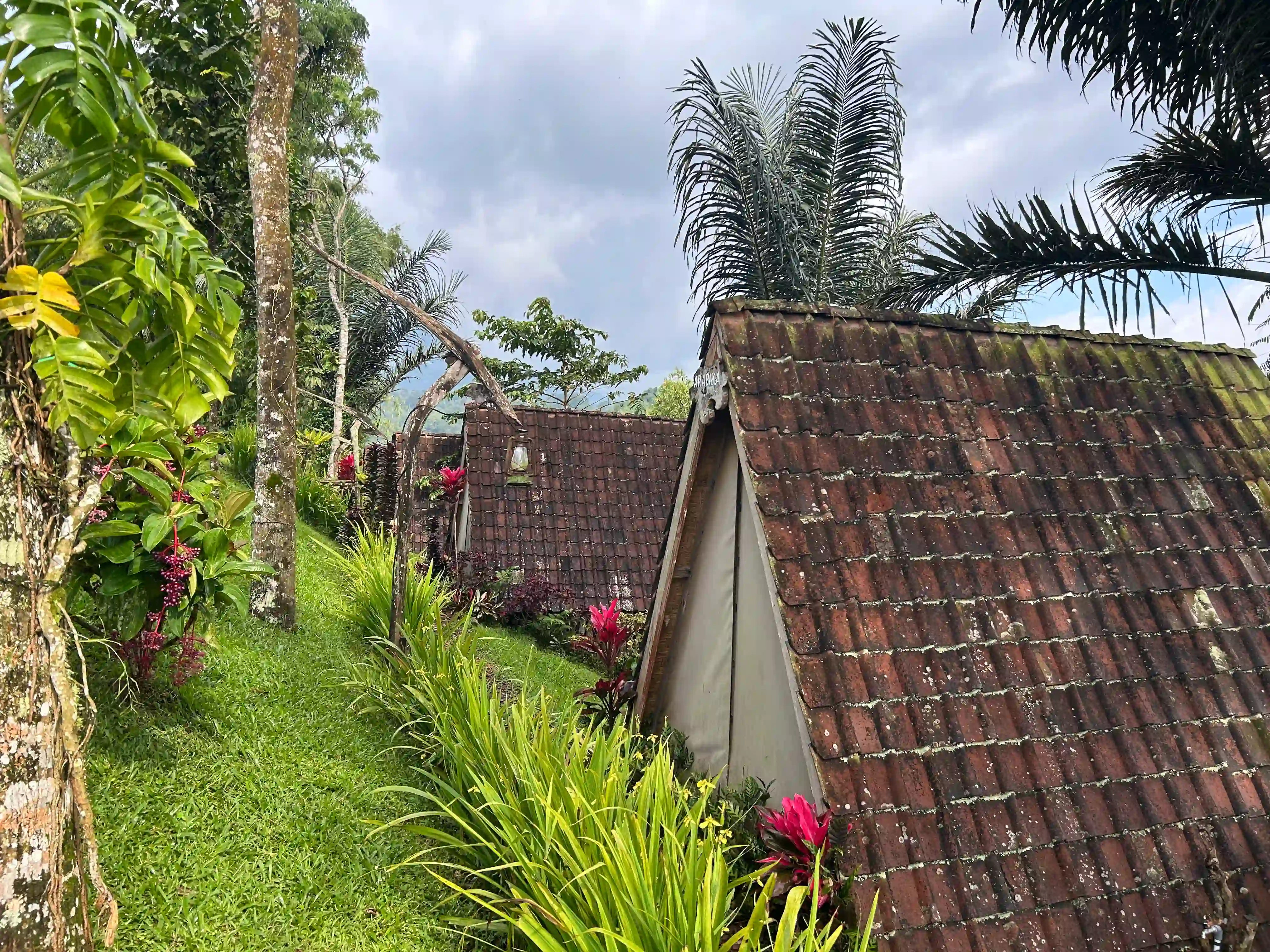 Ready to Enjoy Pupuan Atmosphere?